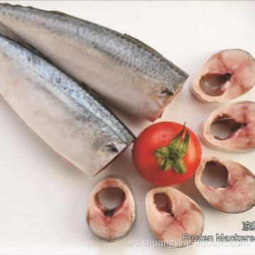 Mackerel de pescado congelado de la mejor calidad HGT en venta